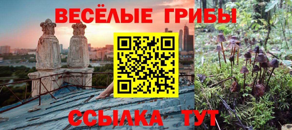 Светлоград  Галлюциногенные грибы Magic Shrooms  Вход с VPN 