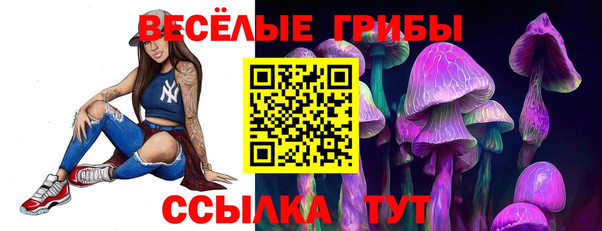 Псилоцибиновые грибы мицелий Светлоград